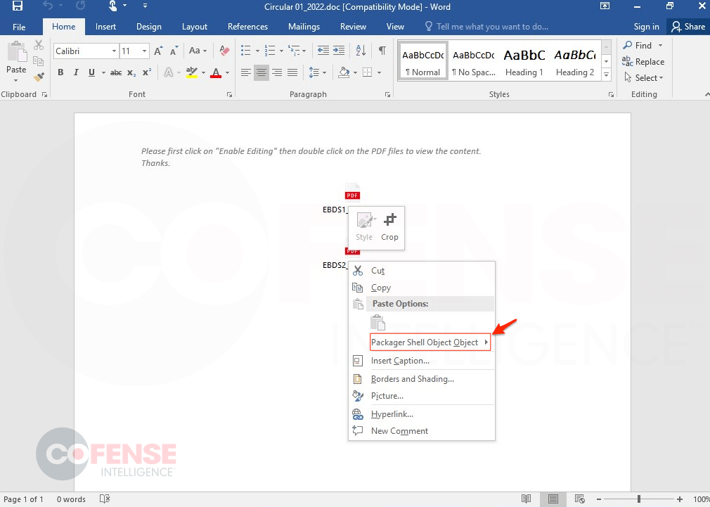 Word document with OLEPackage file.